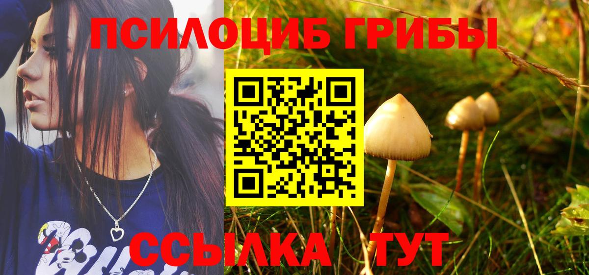 Псилоцибиновые грибы Psilocybine cubensis Кстово